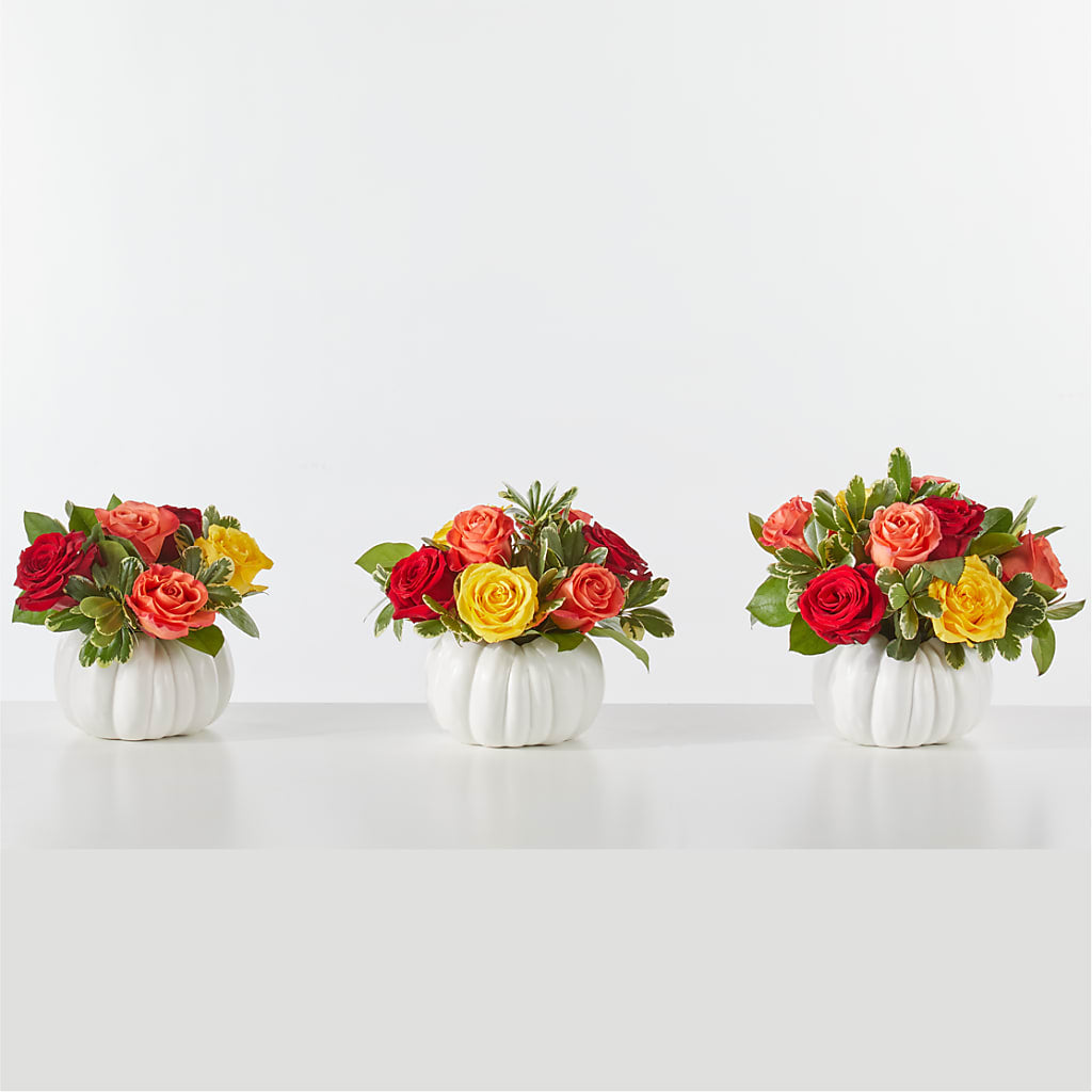 Gourd of Gratitude – XOXO FLORALS & WINE, Newark OH