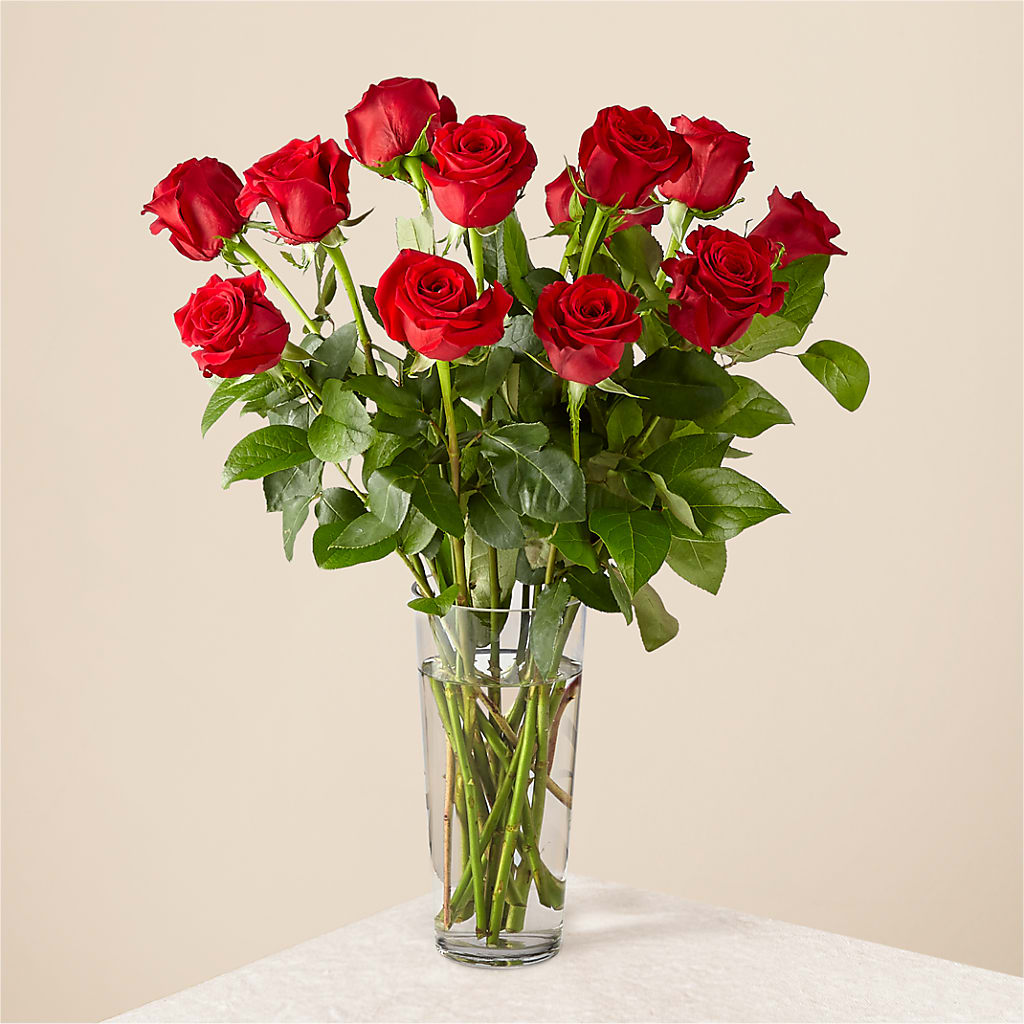 Long Stem Red Rose Bouquet – XOXO FLORALS & WINE, Newark OH
