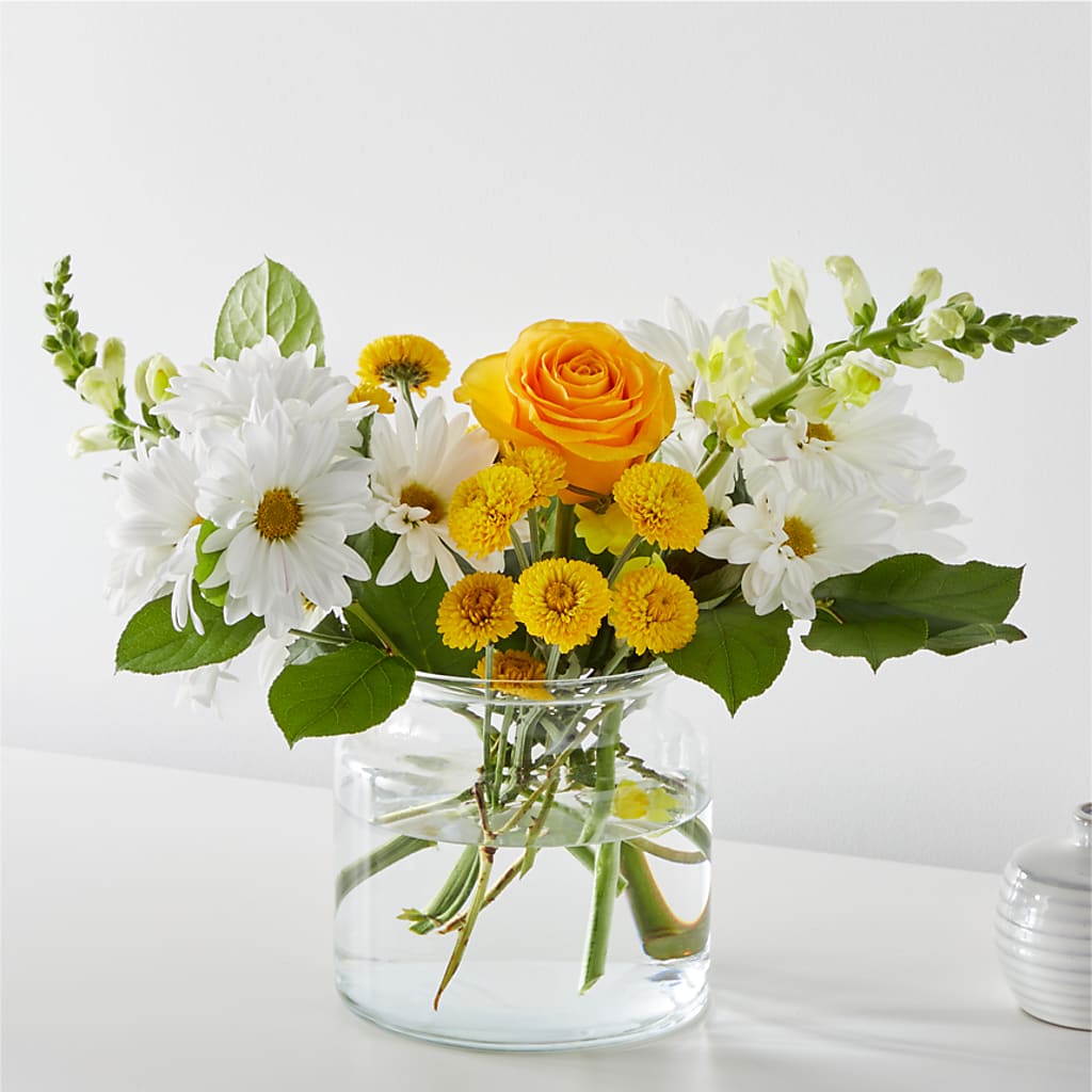 Sun Salutation Bouquet – XOXO FLORALS & WINE, Newark OH