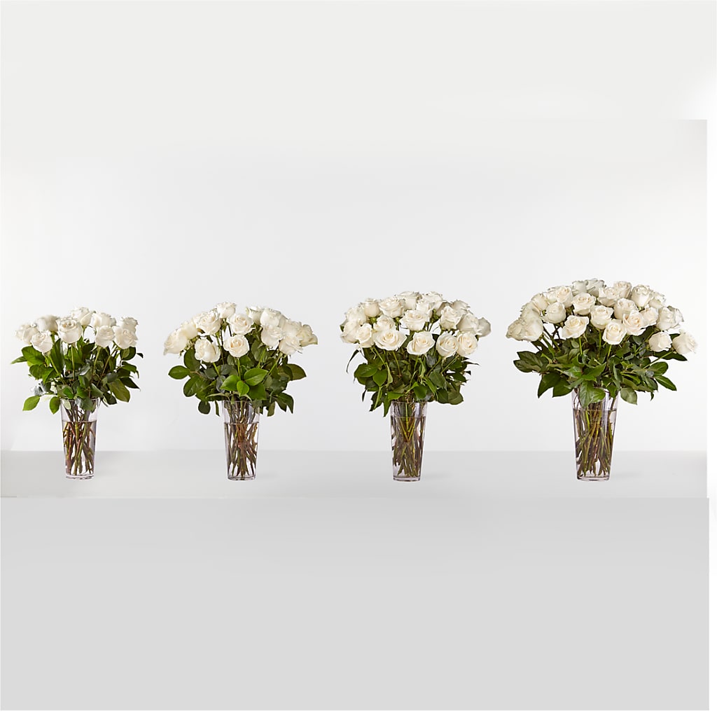 Long Stem White Rose Bouquet – XOXO FLORALS & WINE, Newark OH