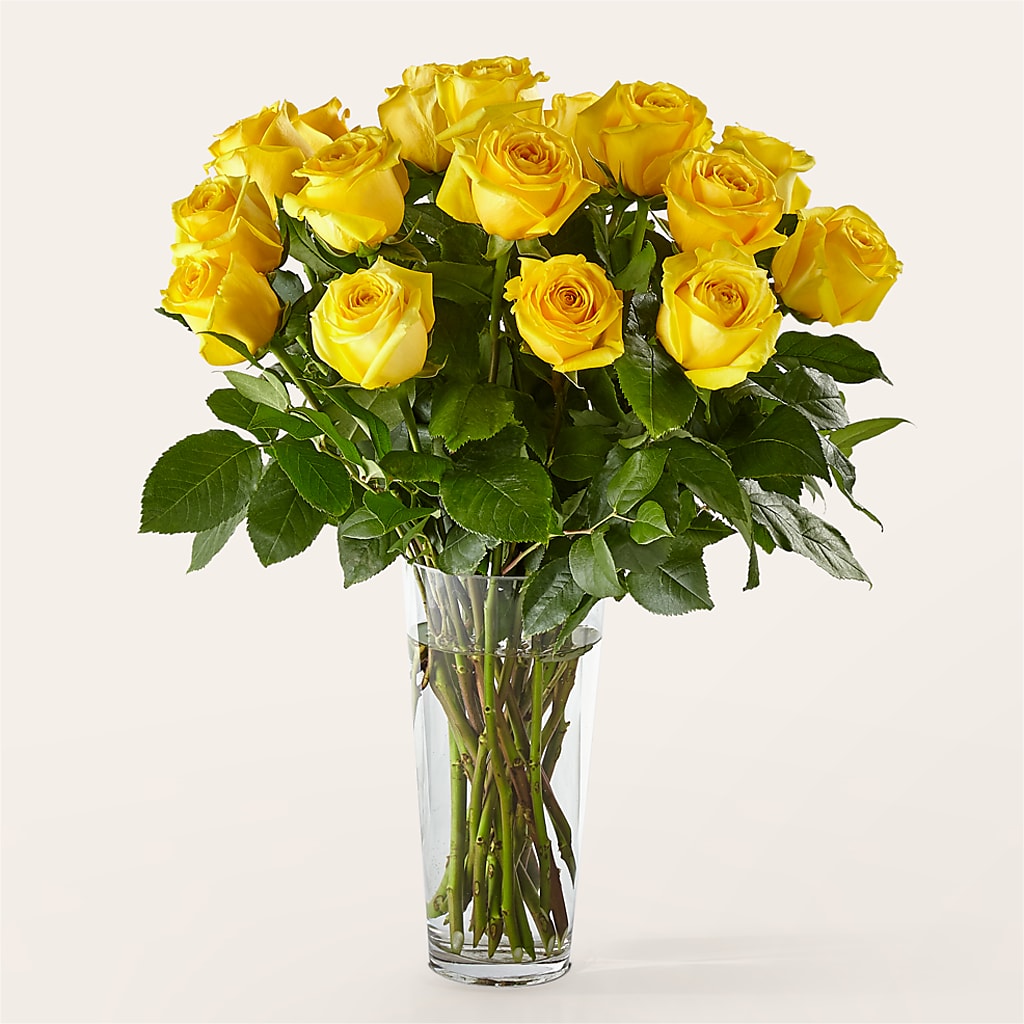 Long Stem Yellow Rose Bouquet – XOXO FLORALS & WINE, Newark OH