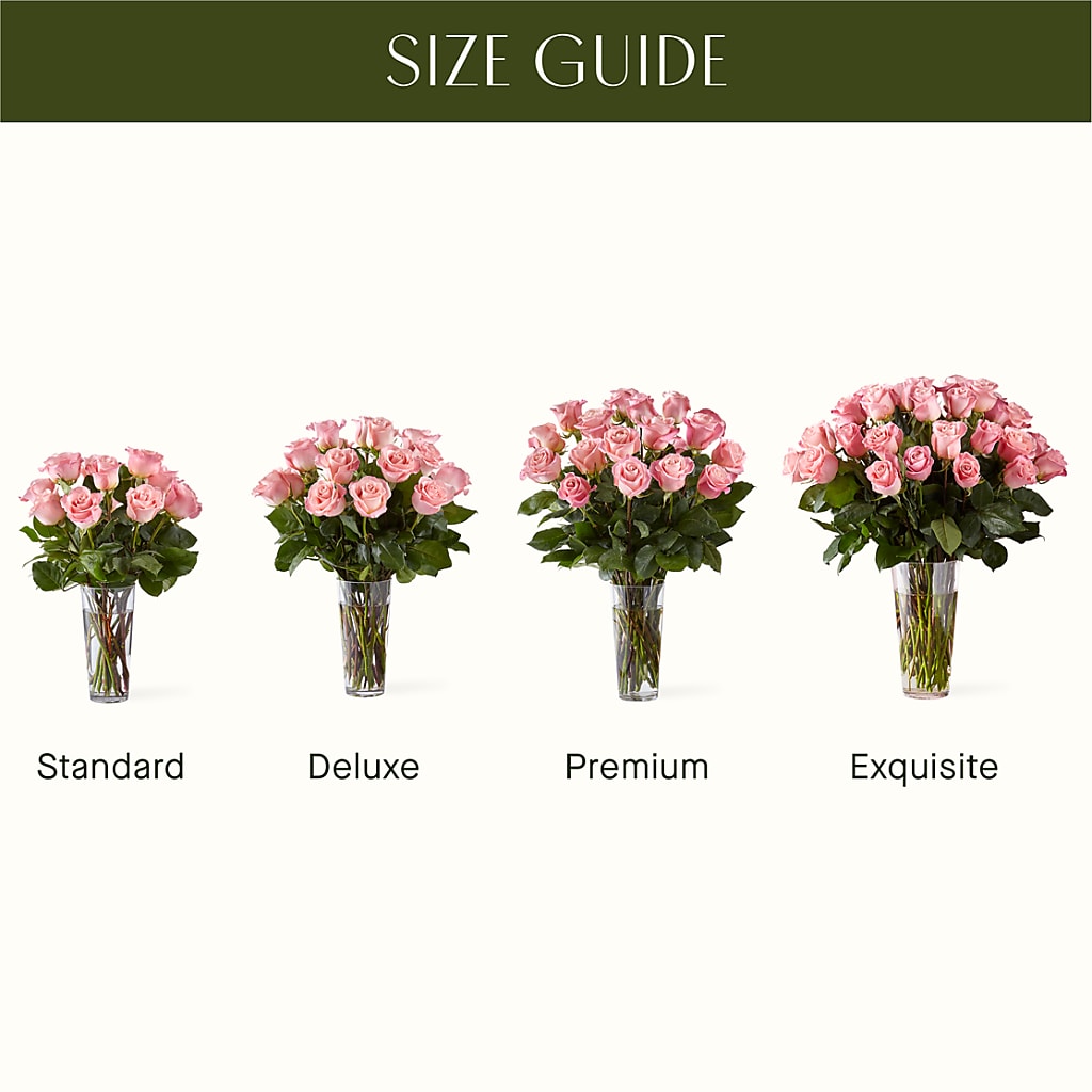 Long Stem Pink Rose Bouquet – XOXO FLORALS & WINE, Newark OH