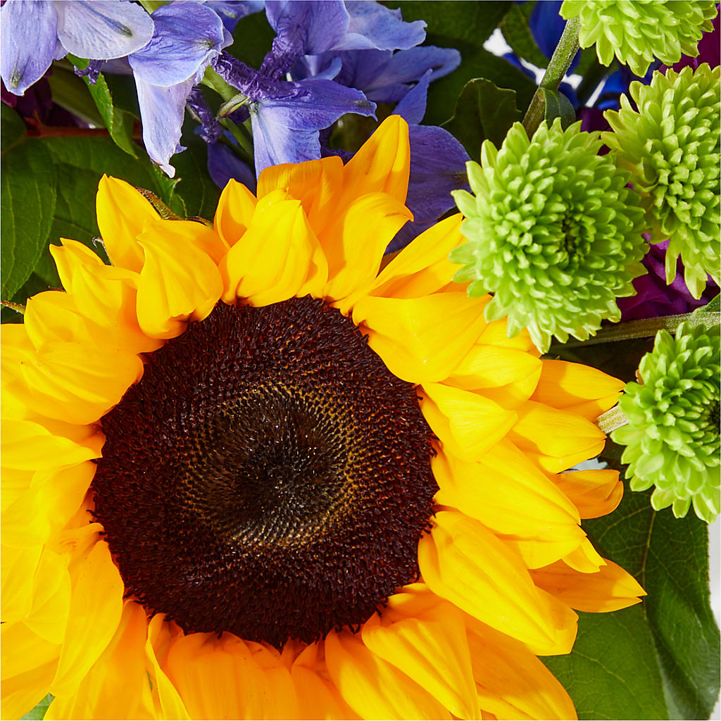Catching Rays Bouquet – XOXO FLORALS & WINE, Newark OH