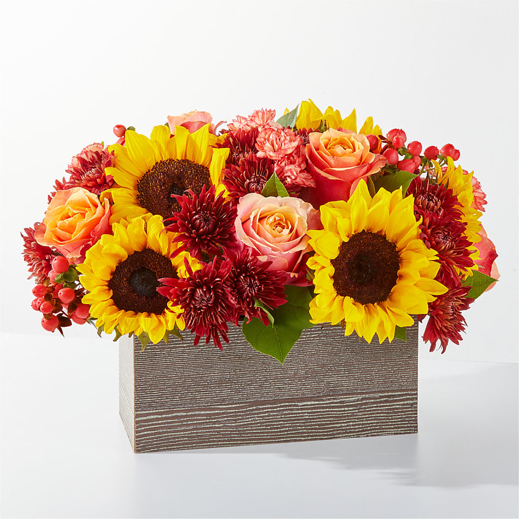 Fresh Cider Bouquet – XOXO FLORALS & WINE, Newark OH