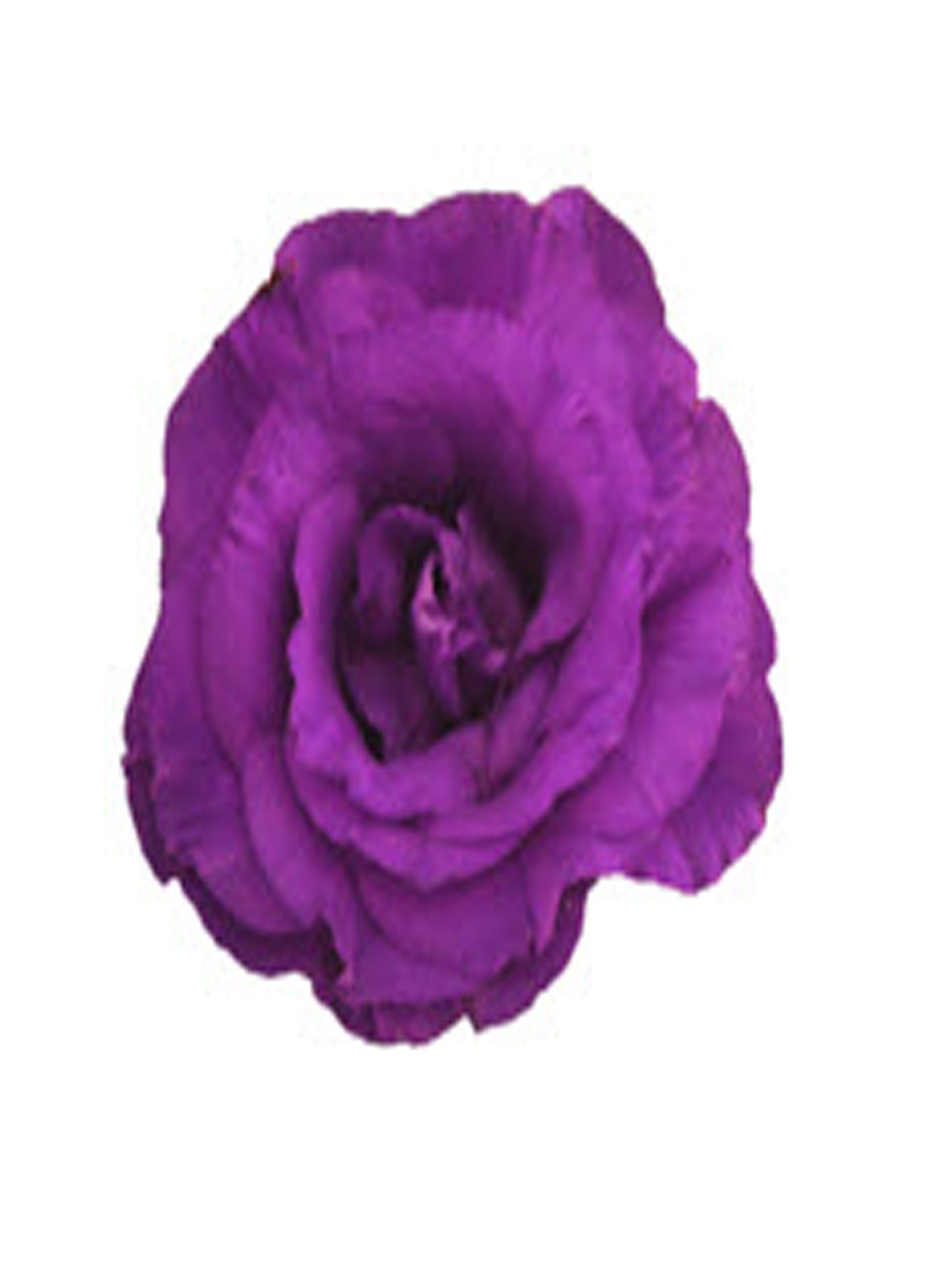 Lisianthus Corsage text pic of dress to (740-975-9856) – XOXO FLORALS & WINE, Newark OH