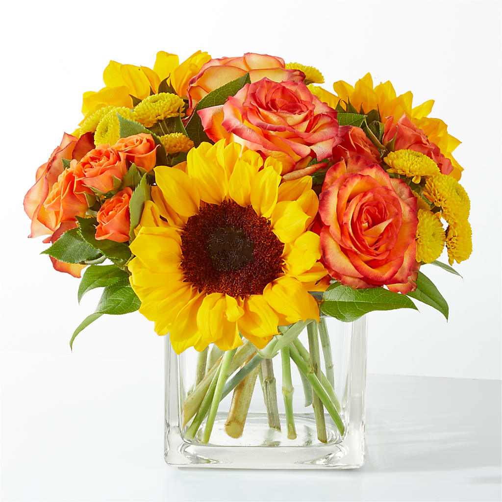 Picnic in the Park Bouquet – XOXO FLORALS & WINE, Newark OH