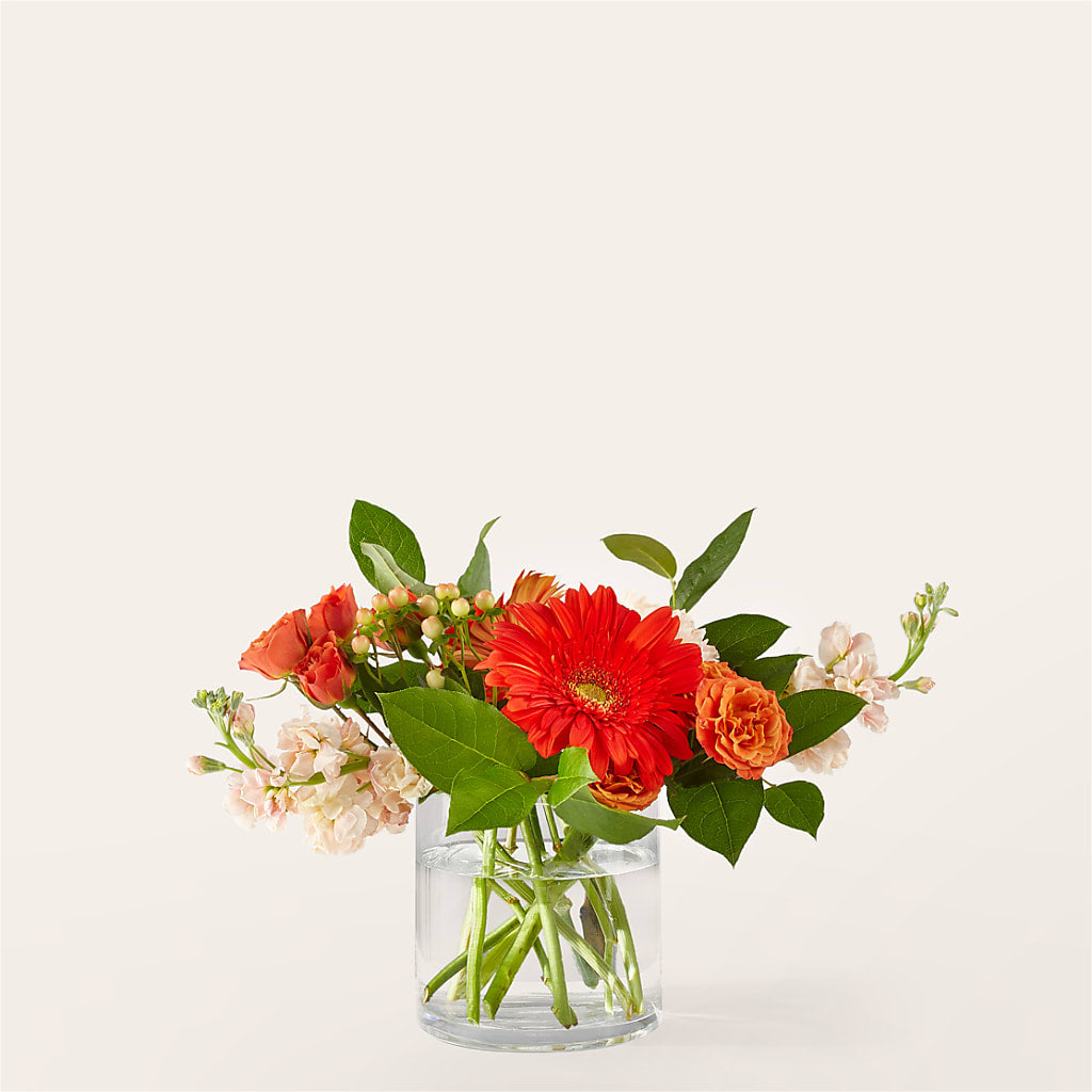 Paloma Please Bouquet – XOXO FLORALS & WINE, Newark OH