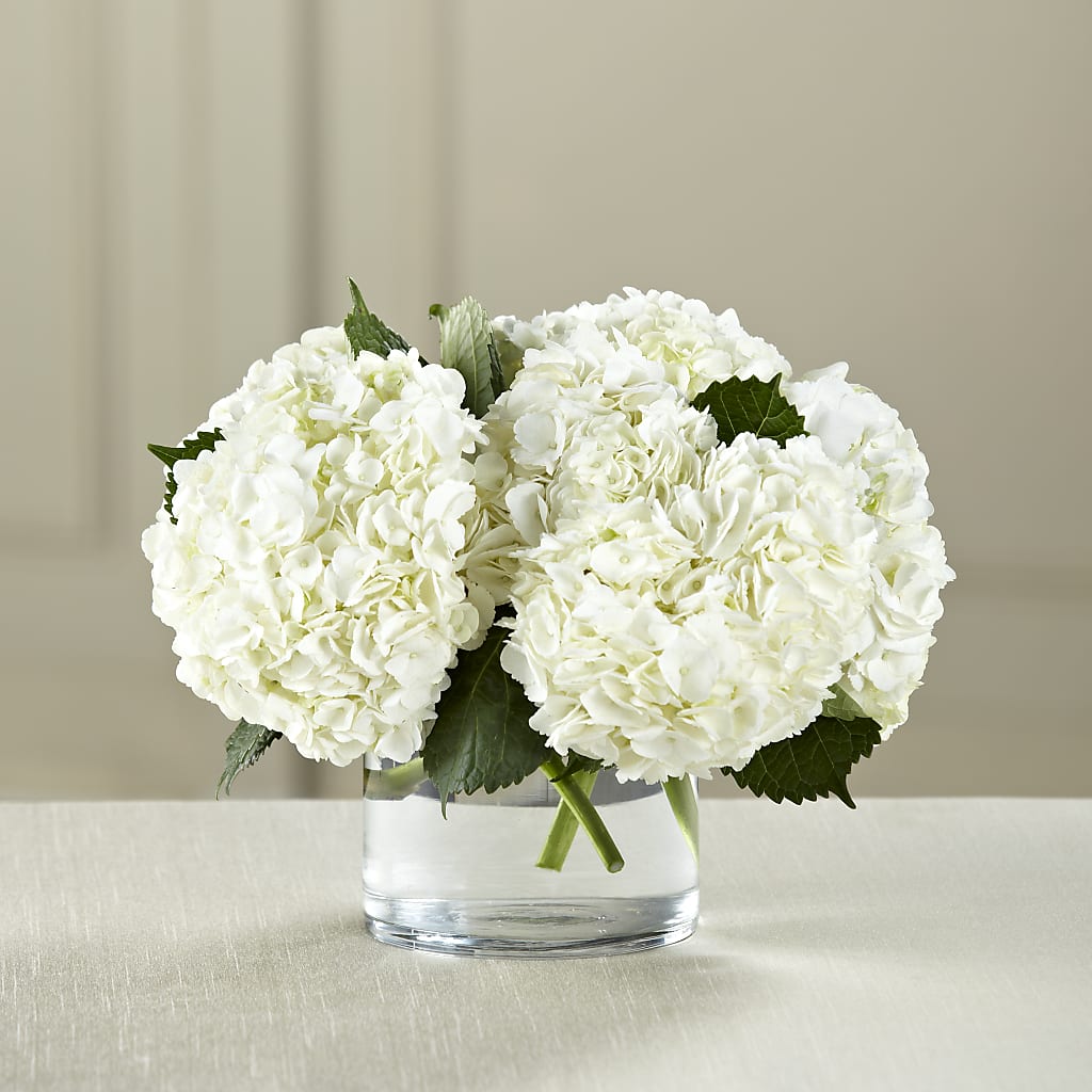 White Hydrangea Bouquet – XOXO FLORALS & WINE, Newark OH