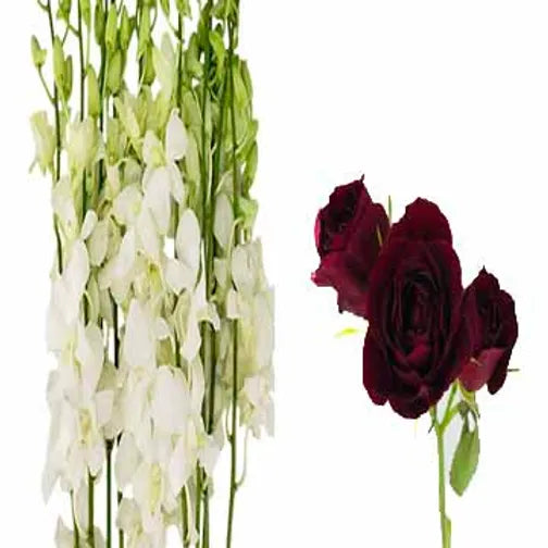 White Orchid and Spray Rose Combo Corsage text pic of dress 740-975-9856 – XOXO FLORALS & WINE, Newark OH