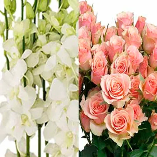 Spray Rose/Orchid Combo Mix