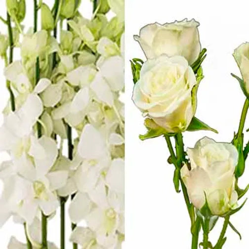 Spray Rose/Orchid Combo Mix