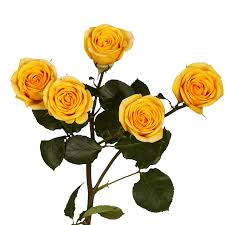 Color Choice Spray Rose Corsage (text a pic of dress 740-975-9856) Need other colors please text or call!