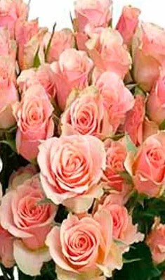 Color Choice Spray Rose Corsage (text a pic of dress 740-975-9856) Need other colors please text or call!