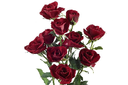 Color Choice Spray Rose Corsage (text a pic of dress 740-975-9856) Need other colors please text or call!