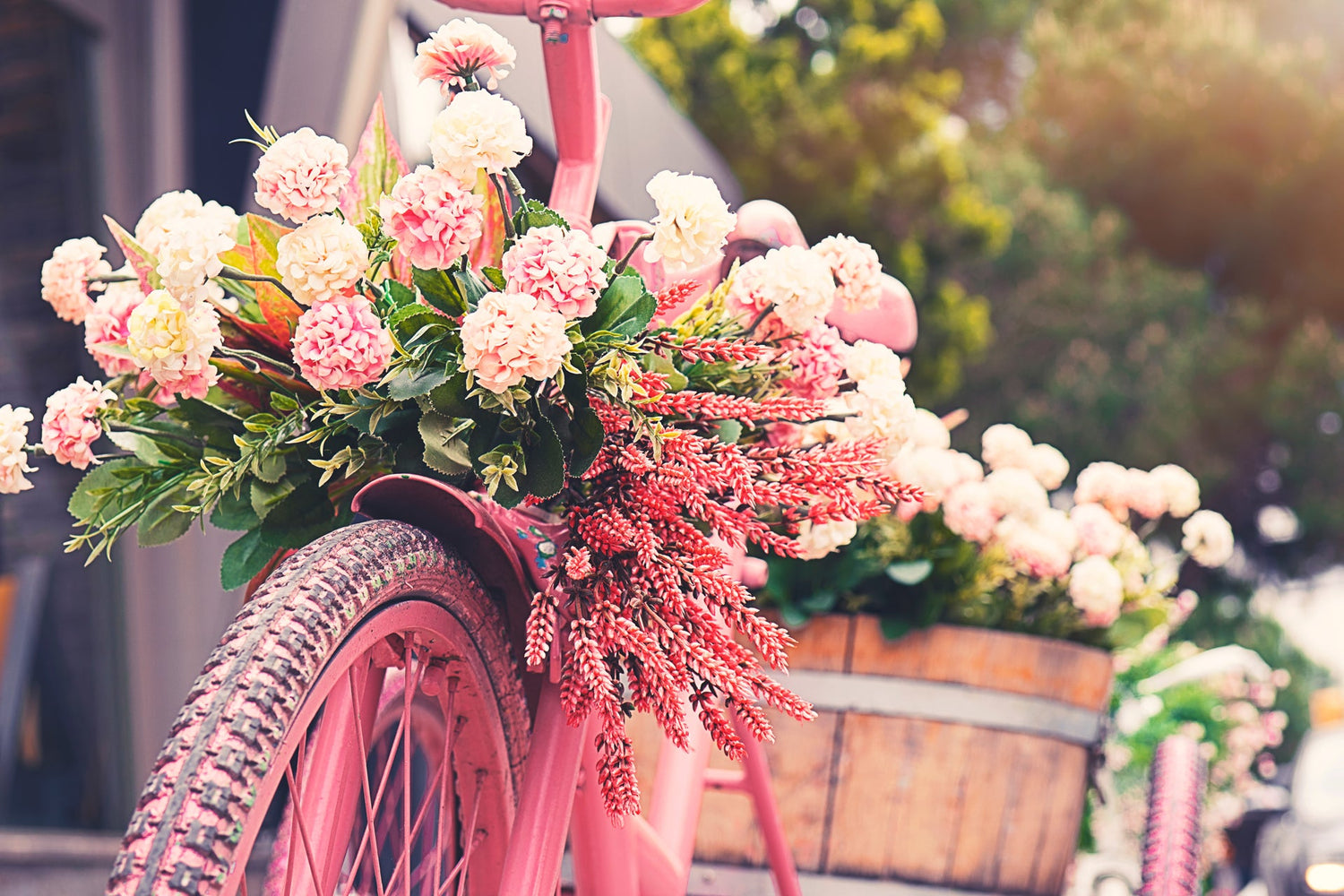 Pink Flowers