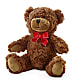 Adorable Plush Bear – XOXO FLORALS & WINE, Newark OH