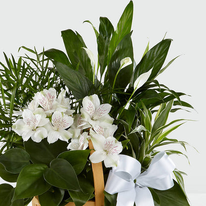 Peace & Serenity Dishgarden – XOXO FLORALS & WINE, Newark OH
