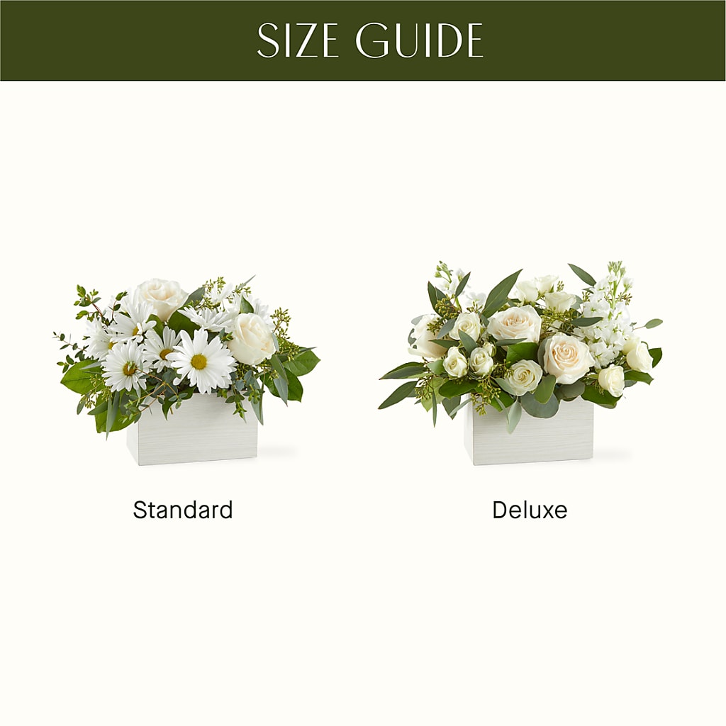 Fresh Linen Box Bouquet – XOXO FLORALS & WINE, Newark OH