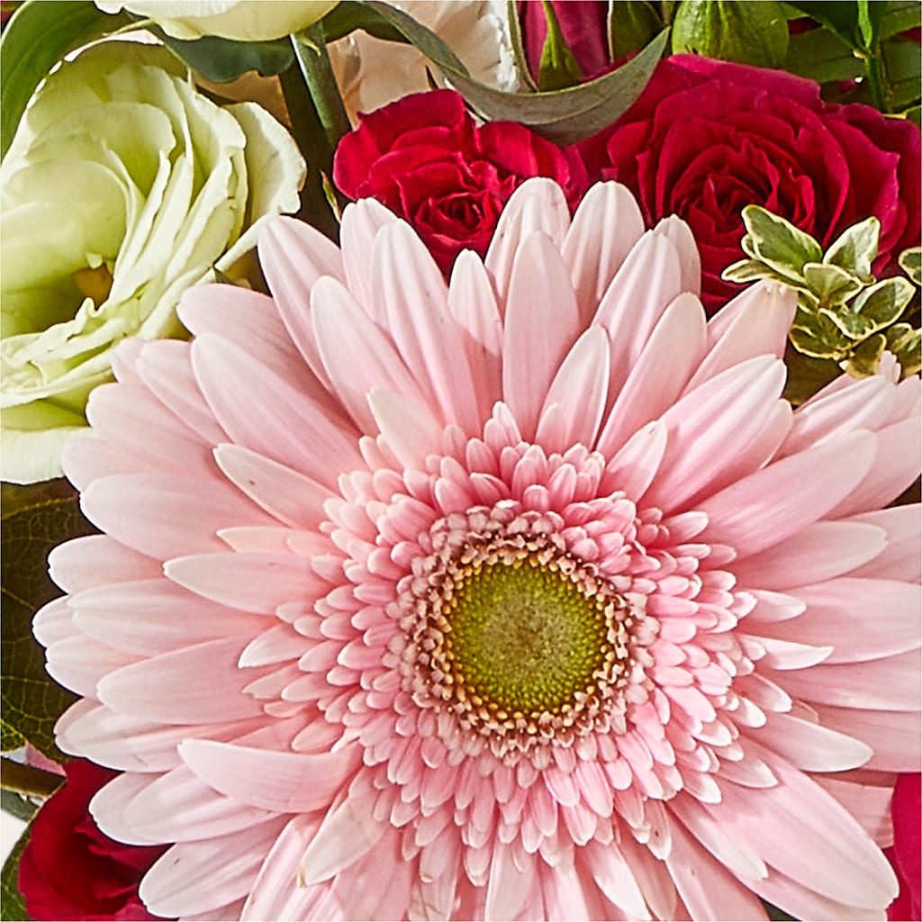 Too Cute Bouquet – XOXO FLORALS & WINE, Newark OH