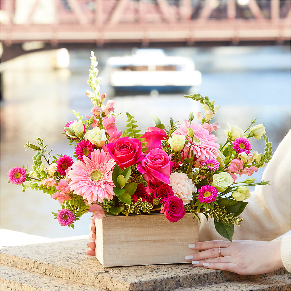 Too Cute Bouquet – XOXO FLORALS & WINE, Newark OH