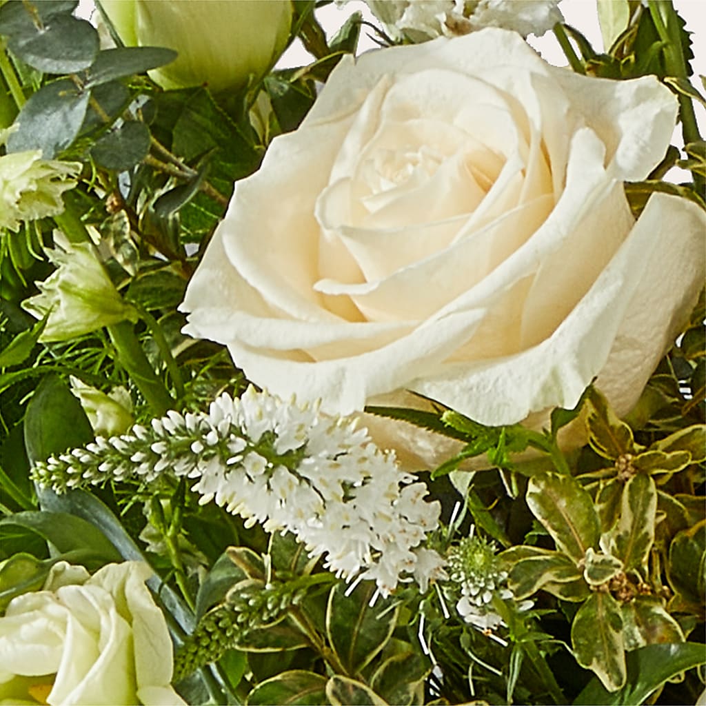 Cashmere Bouquet – XOXO FLORALS & WINE, Newark OH