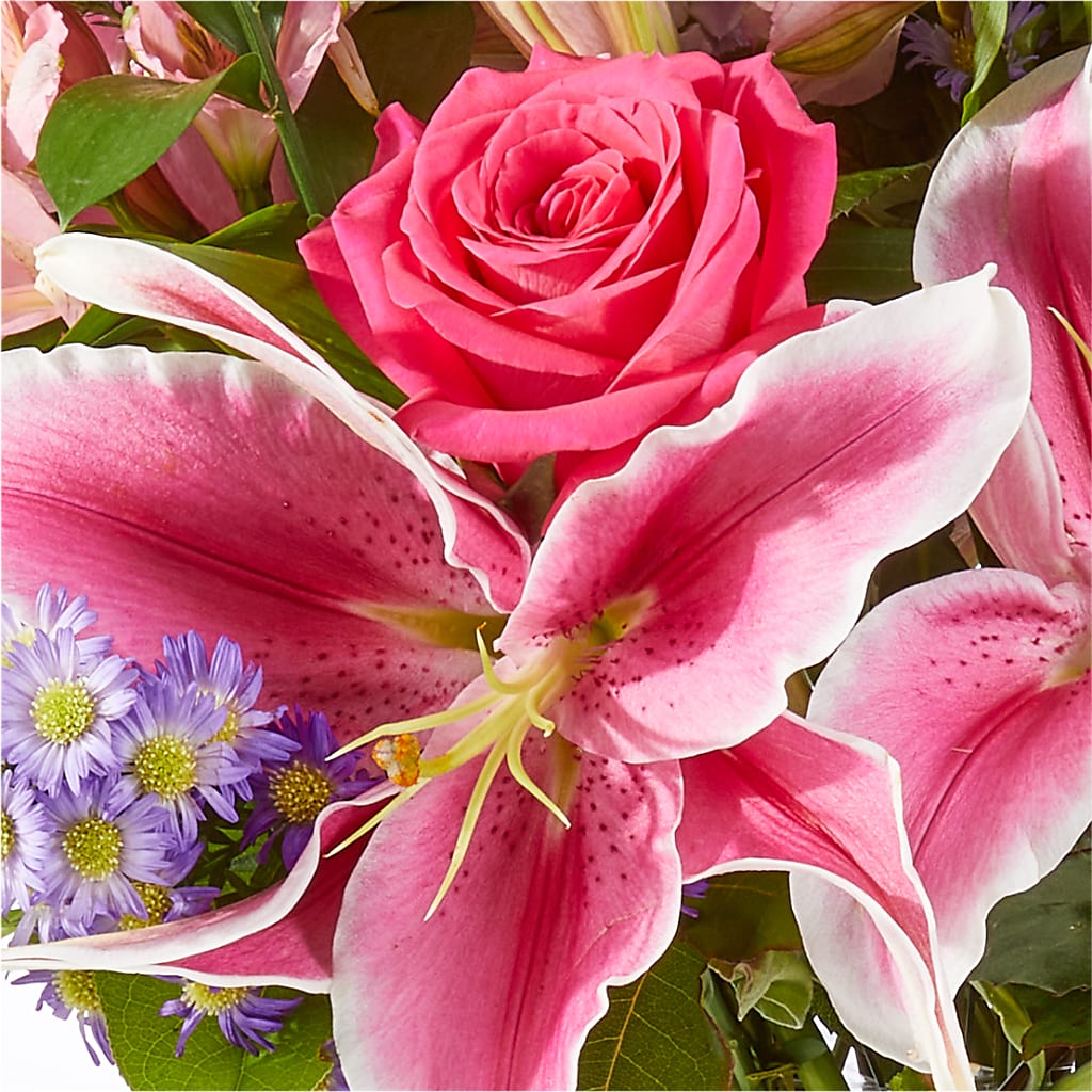 Written in the Stars Bouquet – XOXO FLORALS & WINE, Newark OH