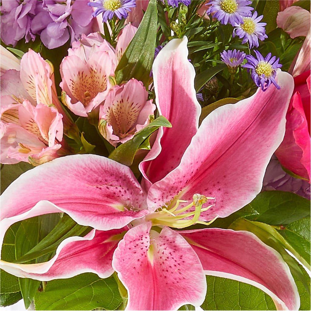 Written in the Stars Bouquet – XOXO FLORALS & WINE, Newark OH