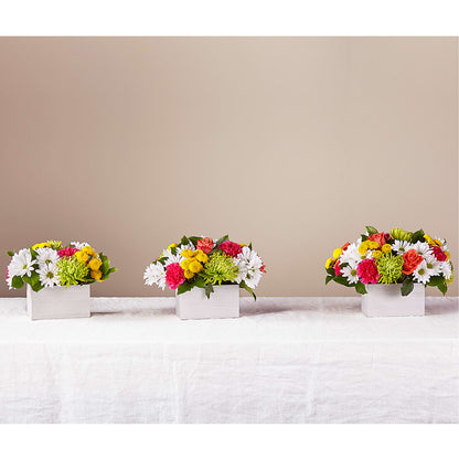 Sorbet Bouquet – XOXO FLORALS & WINE, Newark OH