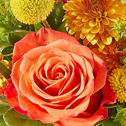 Gourdgeous Pumpkin – XOXO FLORALS & WINE, Newark OH