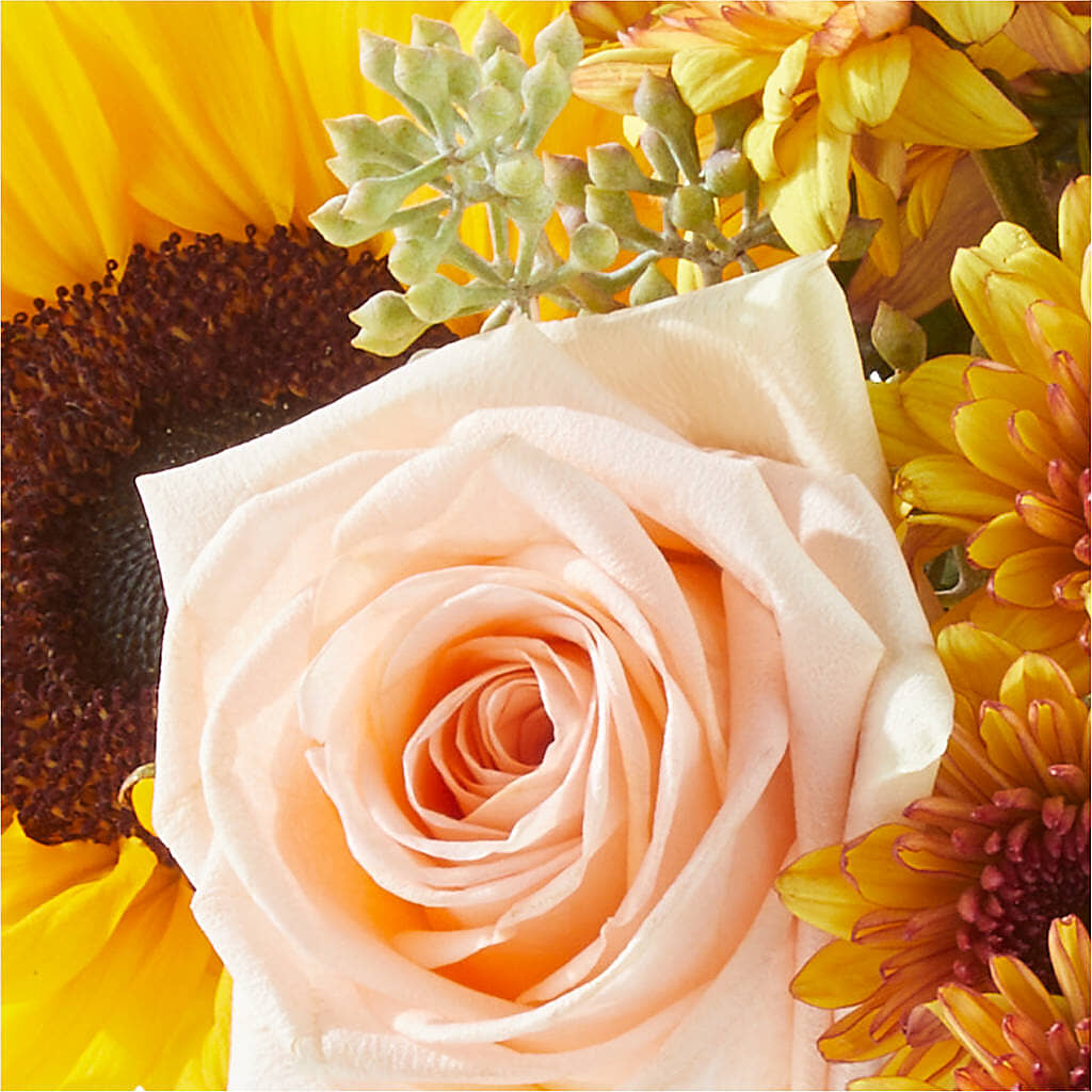 Pumpkin to Talk About Bouquet – XOXO FLORALS & WINE, Newark OH