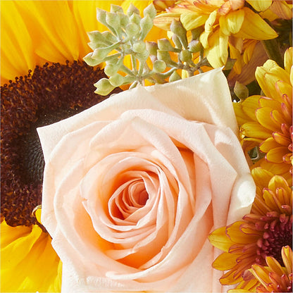 Pumpkin to Talk About Bouquet – XOXO FLORALS & WINE, Newark OH