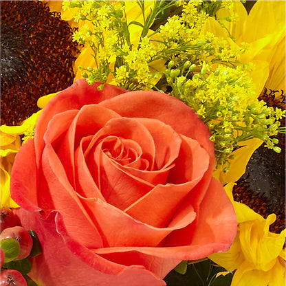 Pick of the Patch Pumpkin Bouquet – XOXO FLORALS & WINE, Newark OH
