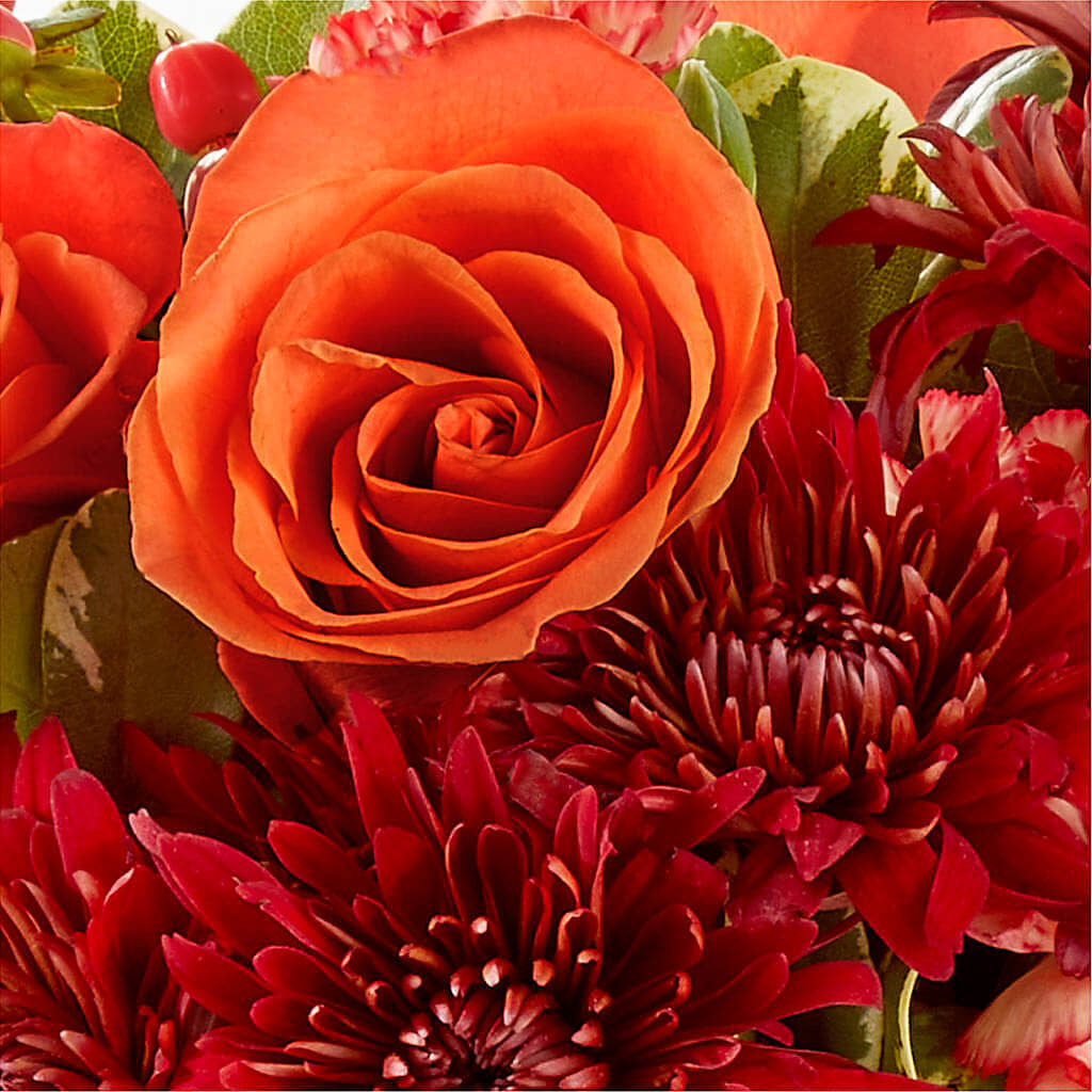 Autumn Air Pumpkin Bouquet – XOXO FLORALS & WINE, Newark OH