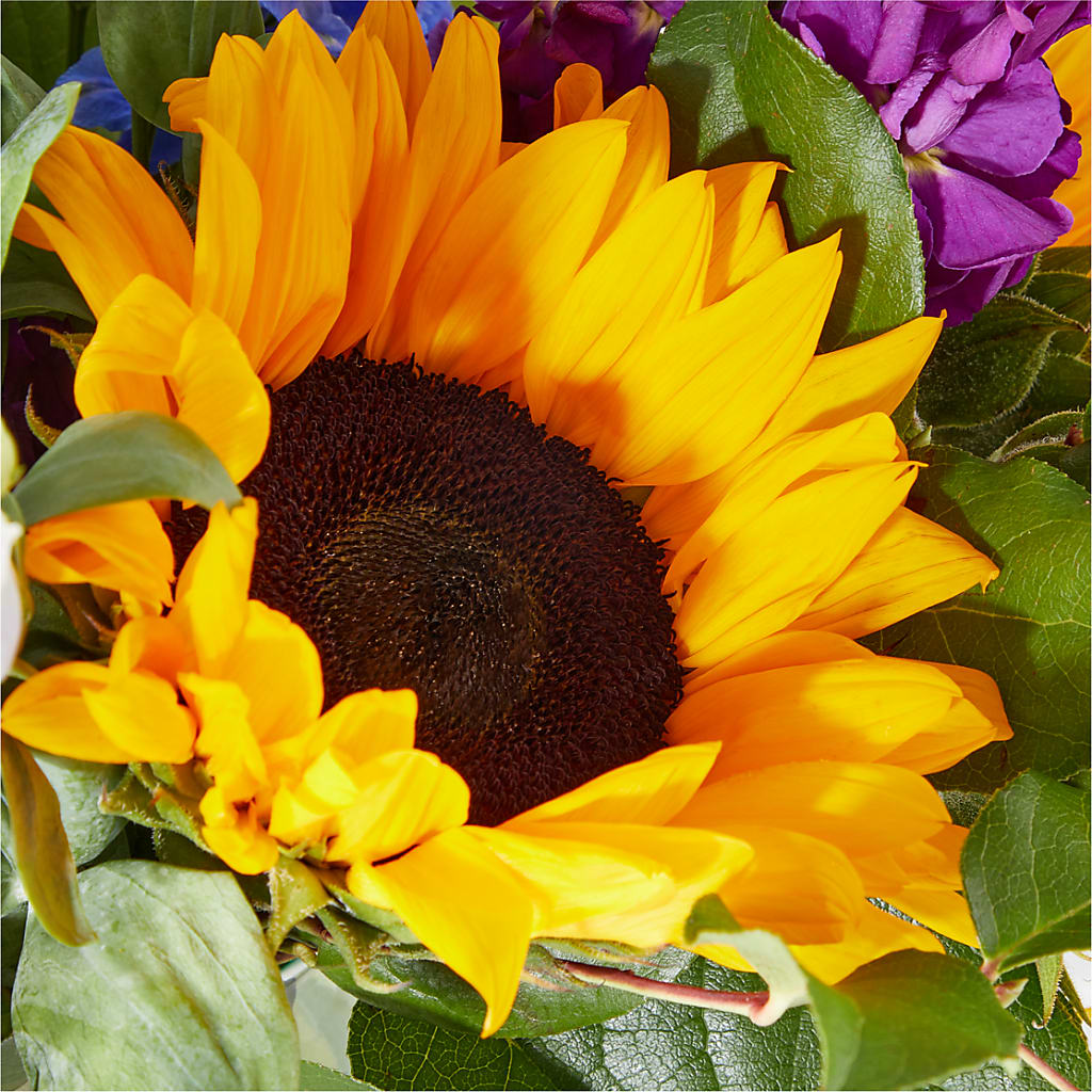 Catching Rays Bouquet – XOXO FLORALS & WINE, Newark OH