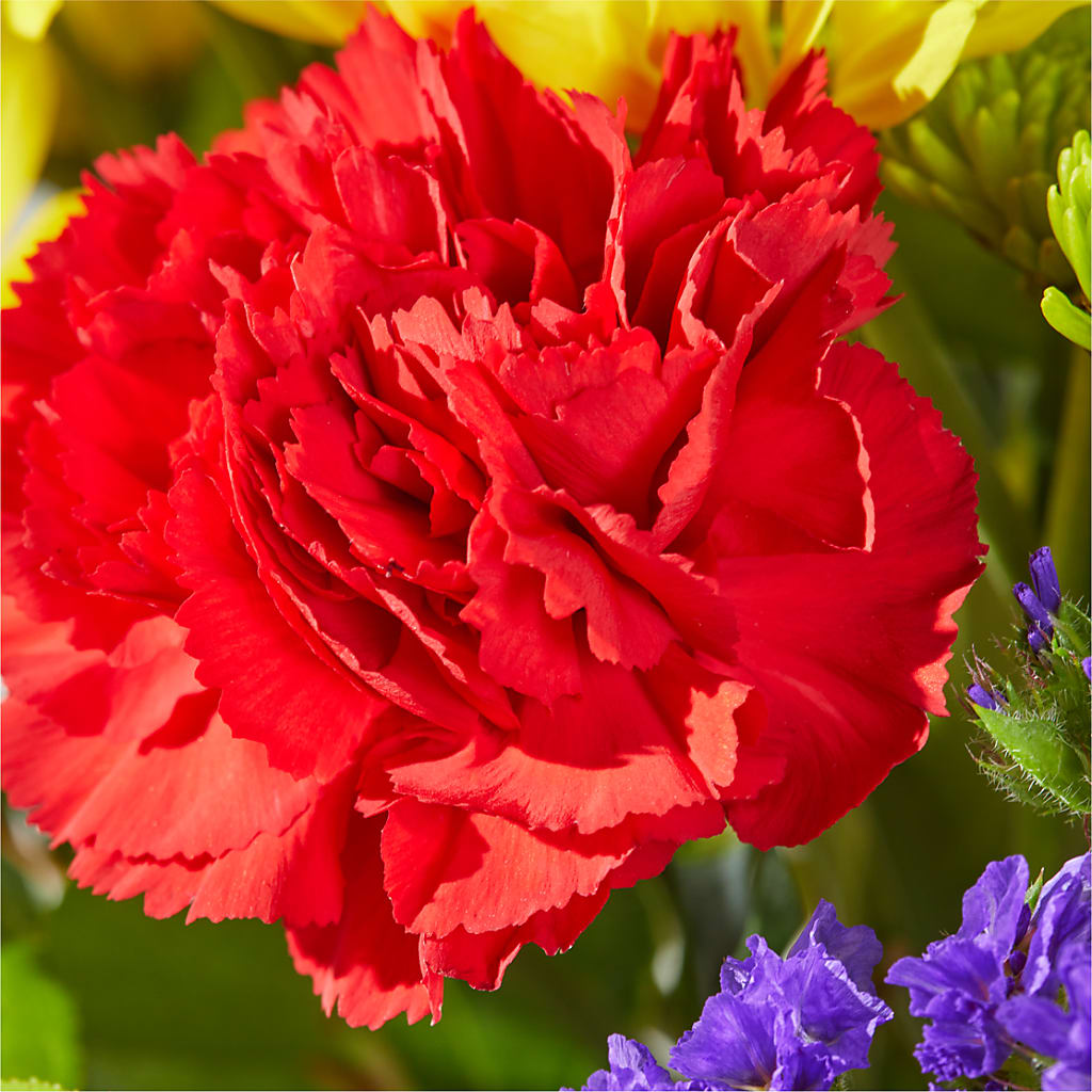 Brighter Days Bouquet – XOXO FLORALS & WINE, Newark OH