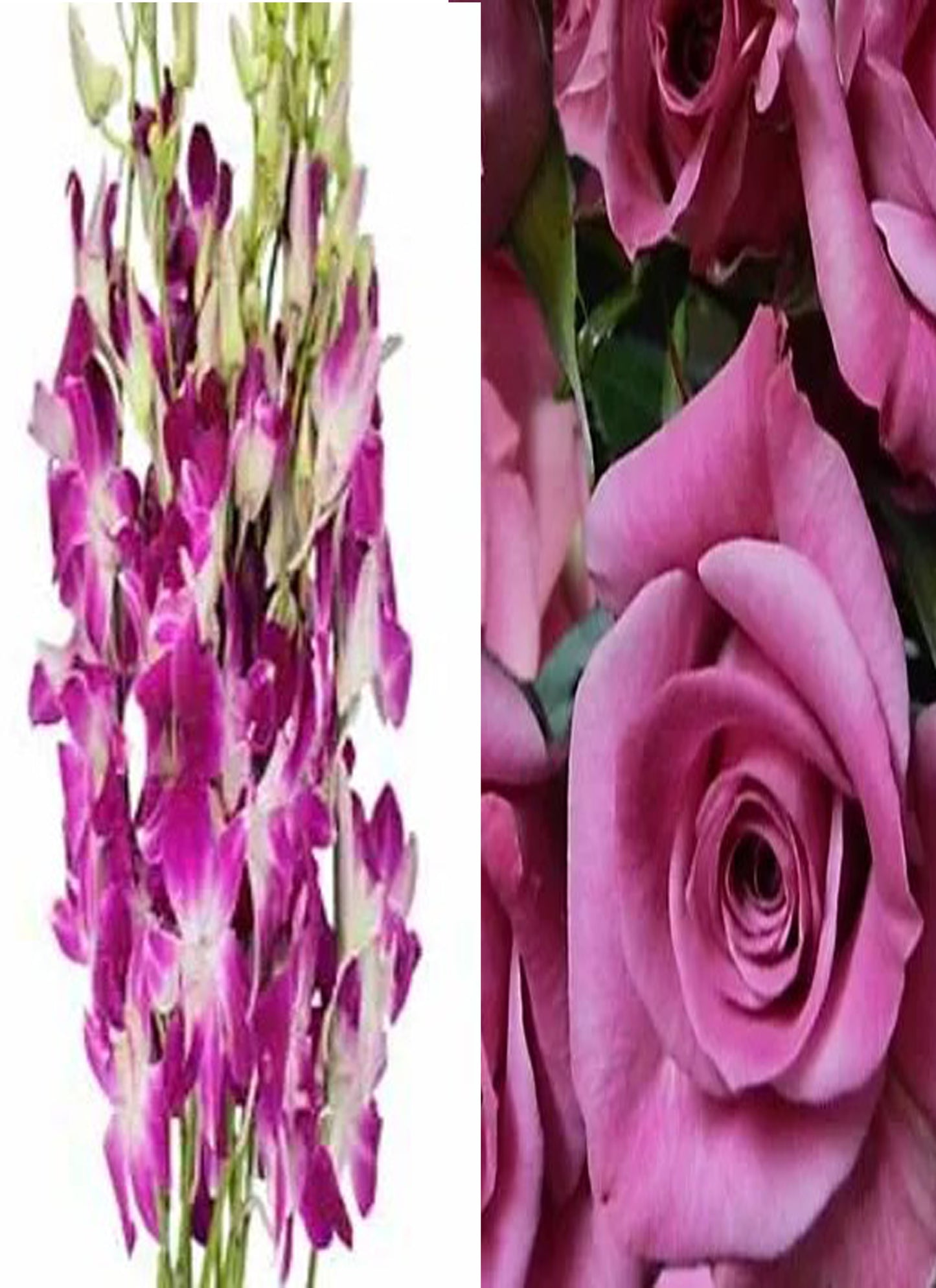 Fuchsia Orchid Corsage Spray Rose Combo (text pic of dress 740-975-9856)