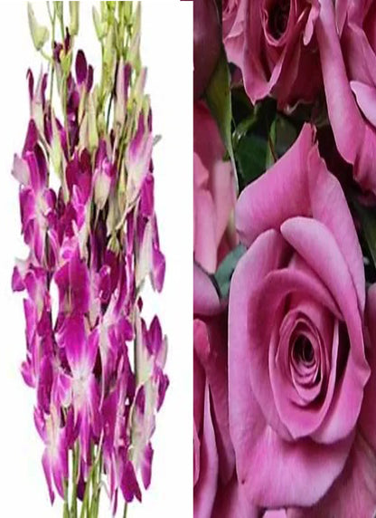 Fuchsia Orchid Corsage Spray Rose Combo (text pic of dress 740-975-9856)