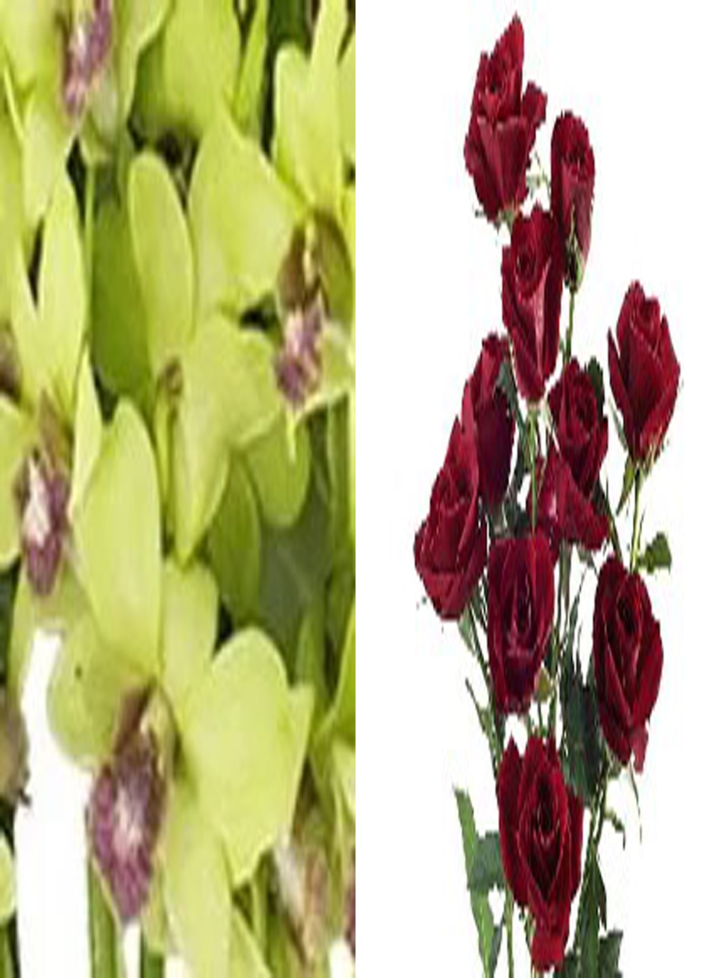 Green Orchid and Spray Rose Combo (text pic of dress 740-975-9856)