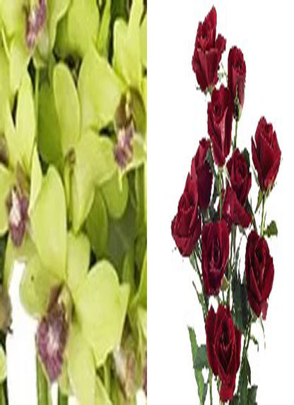 Green Orchid and Spray Rose Combo (text pic of dress 740-975-9856)