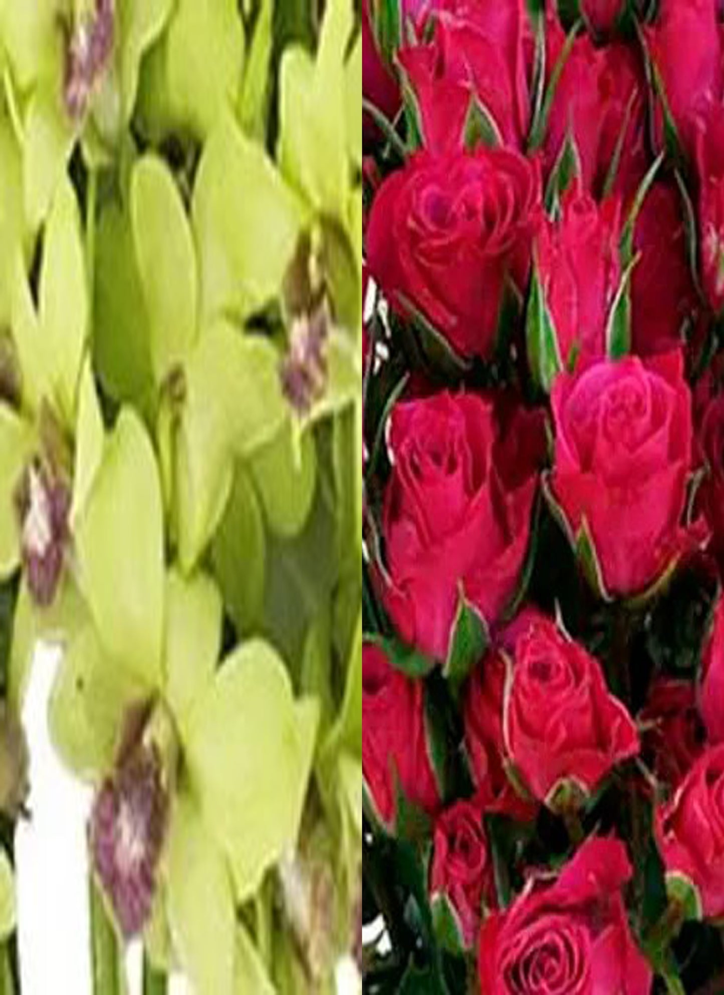 Green Orchid and Spray Rose Combo (text pic of dress 740-975-9856)