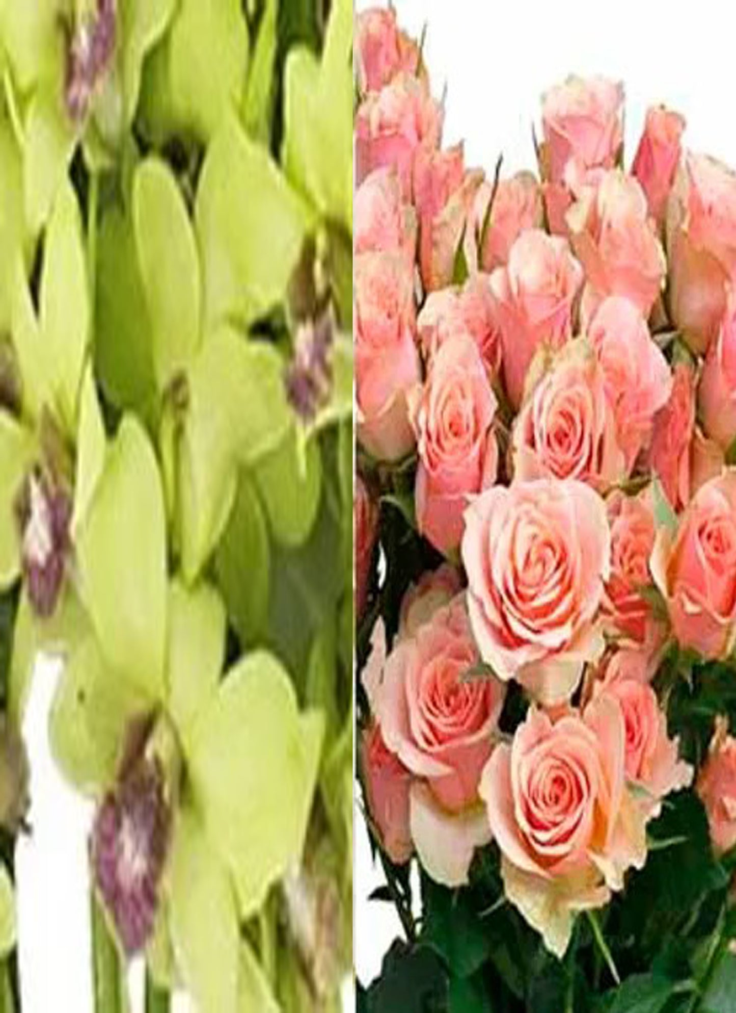 Green Orchid and Spray Rose Combo (text pic of dress 740-975-9856)