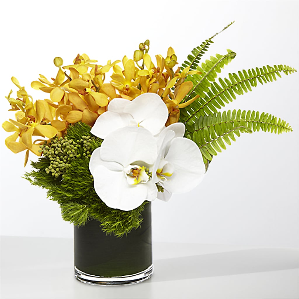 The Tropics – XOXO FLORALS & WINE, Newark OH