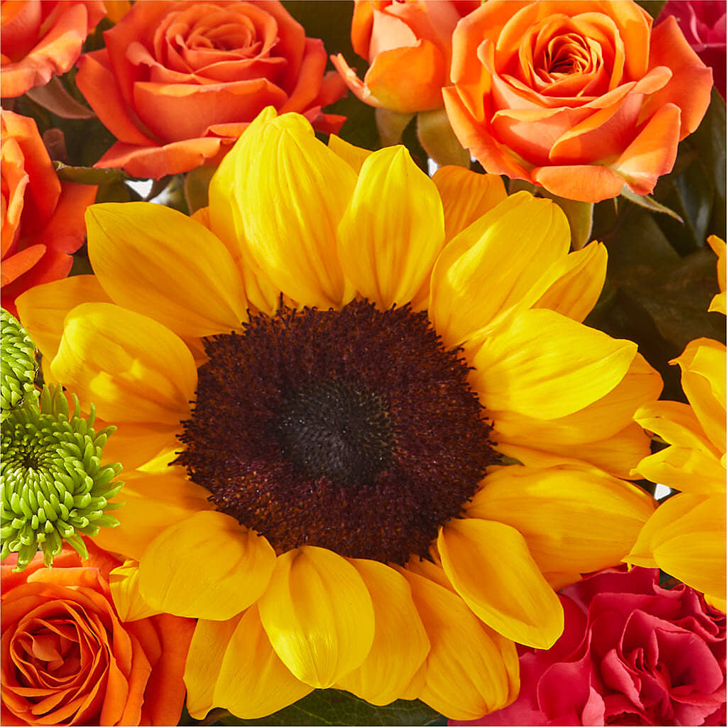 Sun-drenched Blooms Box Bouquet – XOXO FLORALS & WINE, Newark OH