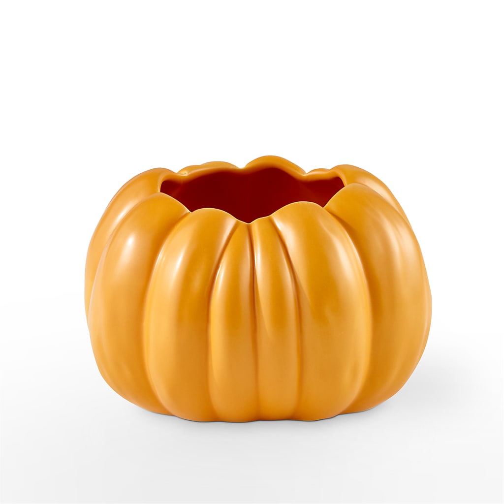 Pick of the Patch Pumpkin Bouquet – XOXO FLORALS & WINE, Newark OH