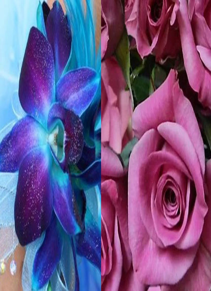 Blue Orchid/Spray Rose Combo