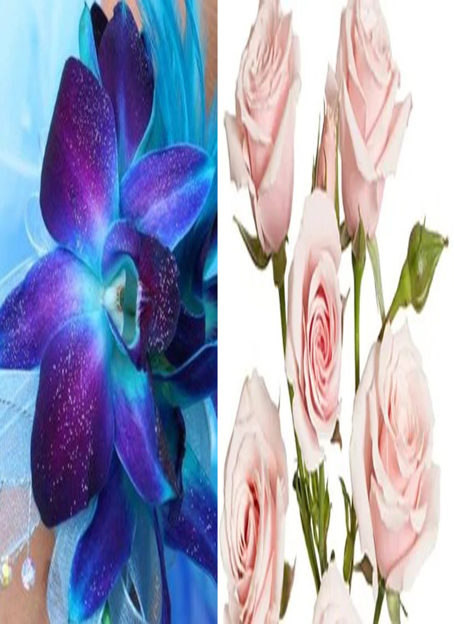 Blue Orchid/Spray Rose Combo