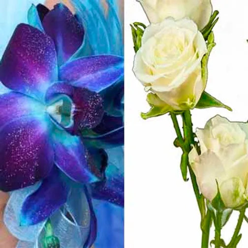 Blue Orchid/Spray Rose Combo