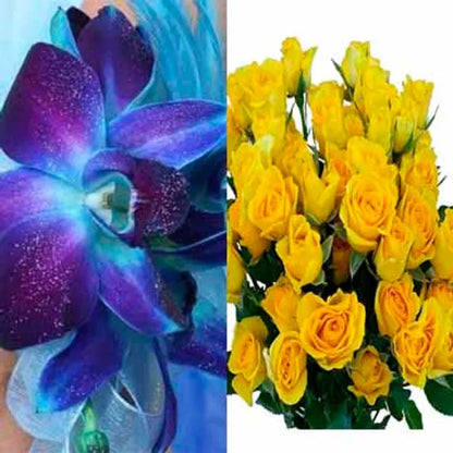 Blue Orchid/Spray Rose Combo