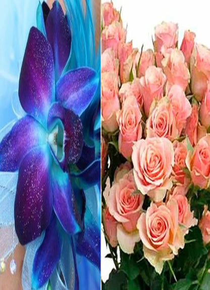 Blue Orchid/Spray Rose Combo