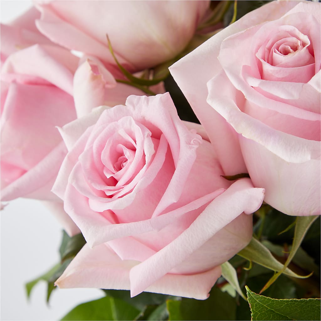Picture Perfect Pink Rose Bouquet – XOXO FLORALS & WINE, Newark OH